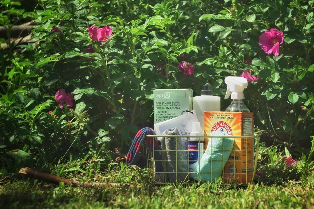 Photo of a Healthy Homes kit including environmentally friendly cleaners