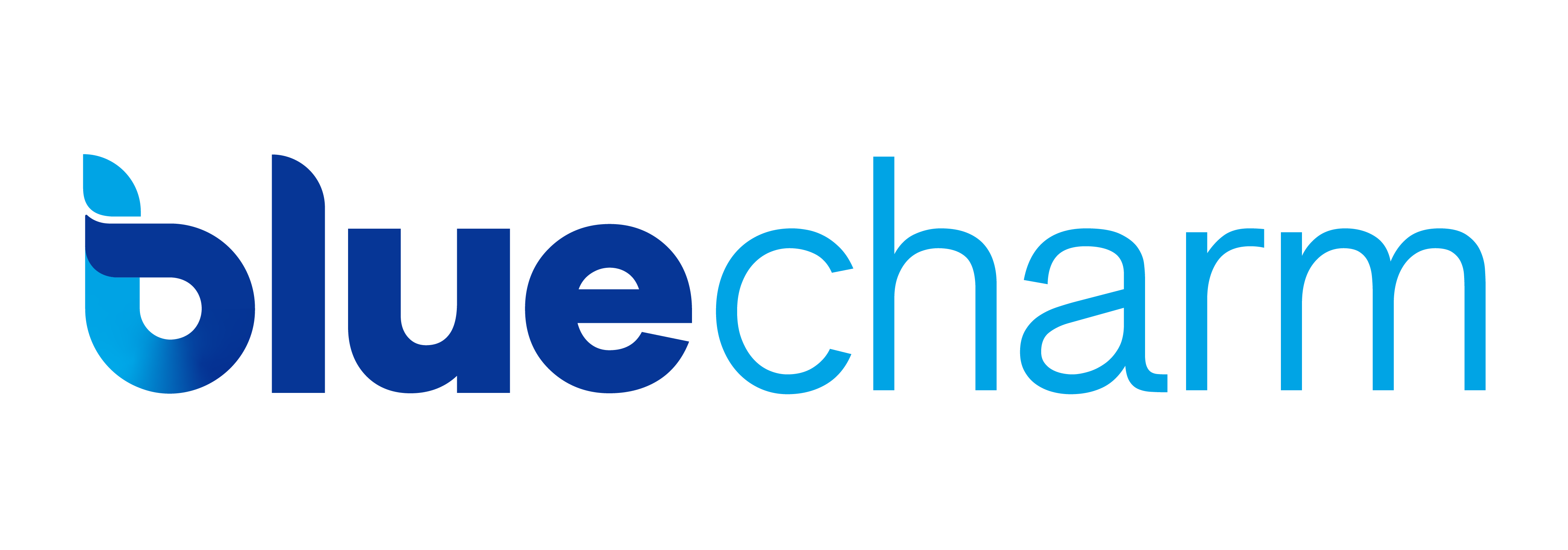 BlueCharm Company Logo