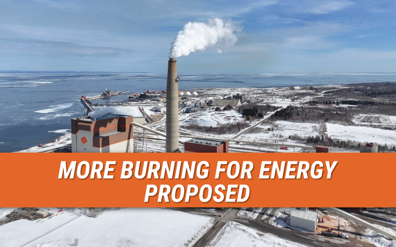 Response to Proposal to Transition Belledune from Coal to Biomass for Electricity Generation 
