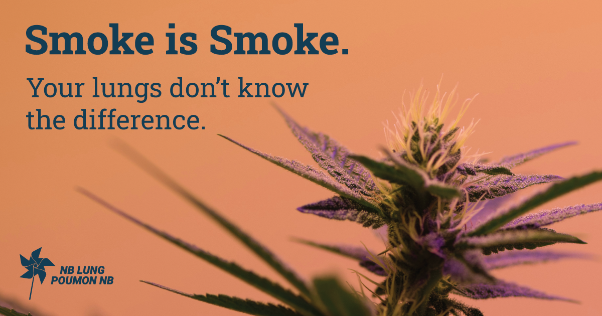 Medical Students pose with Cannabis Harm Reduction Resources