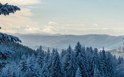 Cold Air & Lung Health