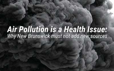 Air Pollution is a Health Issue: Why New Brunswick Must Not Add New Sources