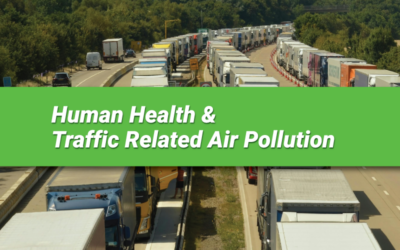 Human Health and Traffic Related Air Pollution